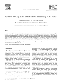 Automatic labelling of the human cortical surface using sulcal basins