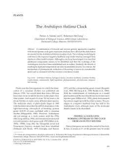 The Arabidopsis thaliana Clock