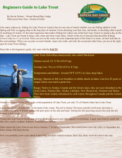 Beginners Guide to Lake Trout