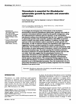 Thioredoxin is essential for Rhodobacter sphaeroides