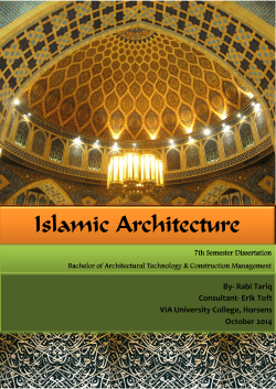 Dissertation Rabi Tariq