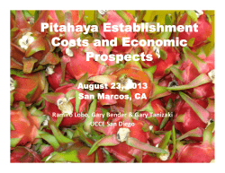 Pitahaya Establishment Costs and Economic Prospects