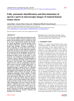 Fully automatic identification and discrimination of sperm`s parts in