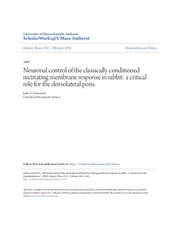 Neuronal control of the classically conditioned nictitating membrane