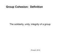 Group Cohesion: Definition