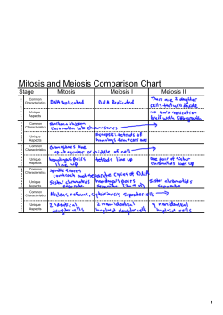 Mitosis and Meiosis Comparison Chart