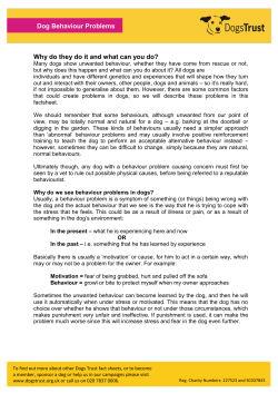 Dog Behaviour Problems - Dogs Trust Fact Sheet
