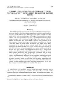 209 coupled versus uncoupled functional systems: motor plasticity in