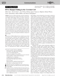 RNA Hairpin Folding in the Crowded Cell
