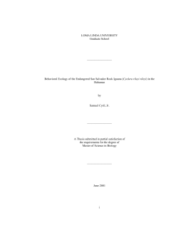 Loma Linda University`s School of Medicine