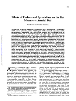 Effects of Purines and Pyrimidines on the Rat Mesenteric Arterial Bed