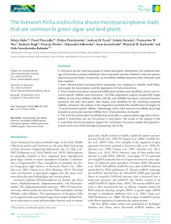 The liverwort Pellia endiviifolia shares microtranscriptomic traits that