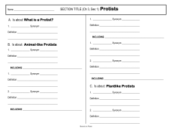 A. Is about: What is a Protist? B. Is about: Animal