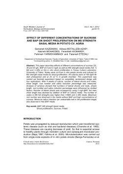 effect of different concentrations of sucrose and bap on shoot