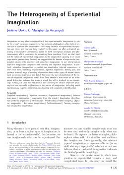 The Heterogeneity of Experiential Imagination - Open
