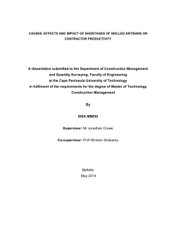 causes, effects and impact of shortages - Digital Knowledge