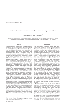 Colour vision in aquatic mammals&mdash;facts and open questions