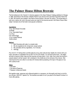 The Palmer House Hilton Brownie