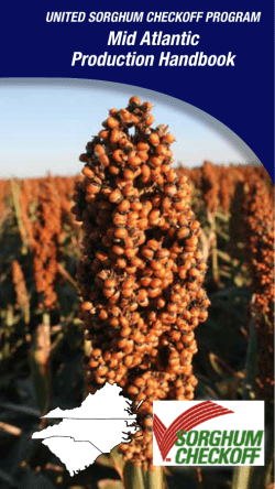 Downloadable PDF - Sorghum Checkoff