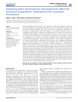 Assessing when chromosomal rearrangements affect the dynamics