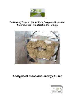 Analysis of mass and energy fluxes