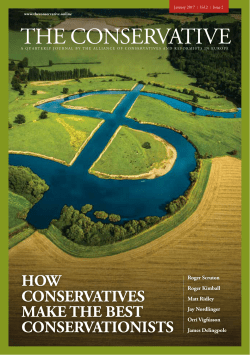 The Conservative Online