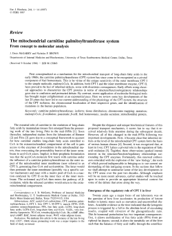 The Mitochondrial Carnitine Palmitoyltransferase System &mdash; From