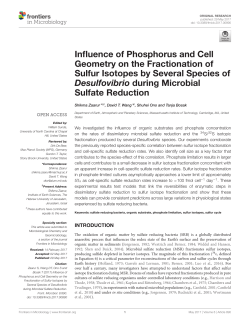 Influence of phosphorus and cell geometry on the fractionation of