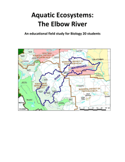 TESTS OF BIOTIC AND ABIOTIC FACTORS IN THE ELBOW RIVER