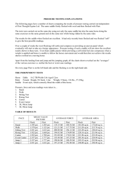 PRESSURE TESTING EXPLANATIONS