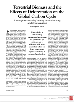 Terrestrial Effects of Deforestation the Global Carbon Cycle