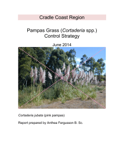 Cradle Coast Region Pampas Grass Strategy 2014