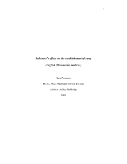 Substrate`s effect on the establishment of the Rusty Crayfish