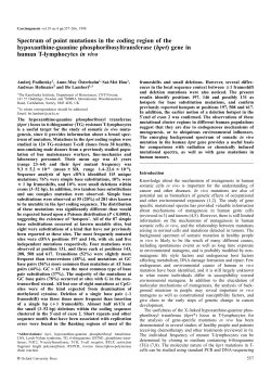 Spectrum of point mutations in the coding region of the