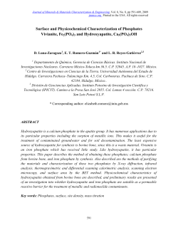 Surface and Physicochemical Characterization of Phosphates