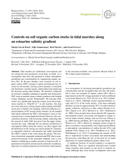Controls on soil organic carbon stocks in tidal marshes along an