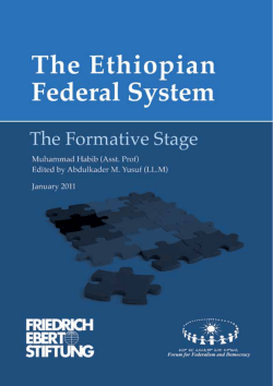 The Ethiopian federal system : the formative stage