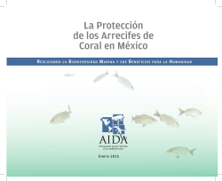 La Protección de los Arrecifes de Coral en México: Rescatando