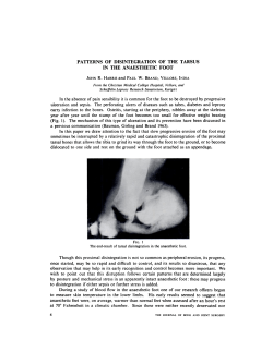 PATFERNS OF DISINTEGRATION OF THE TARSUS IN THE