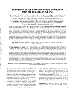 Salinization of soil over saline-sodic overburden from the oil sands