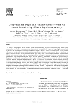 Competition for oxygen and 3-chlorobenzoate between two aerobic