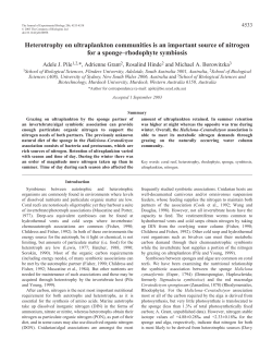 Heterotrophy on ultraplankton communities is an important source of