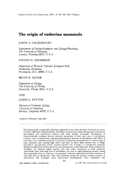 The origin of eutherian mammals
