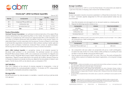 OneScript&reg; cDNA Synthesis SuperMix