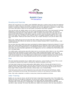 Rabbit Care - Bay Area Humane Society