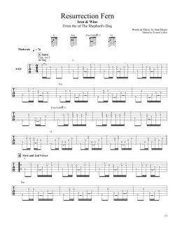 Resurrection Fern by Iron and Wine
