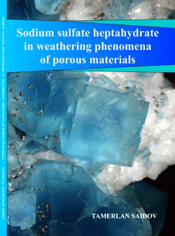 PhD-Saidov-2012 3.5 Mb