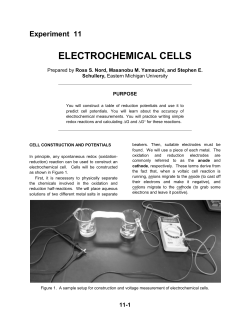 electrochemical cells - Eastern Michigan University