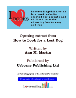 Opening extract from How to Look for a Lost Dog Written by Ann M