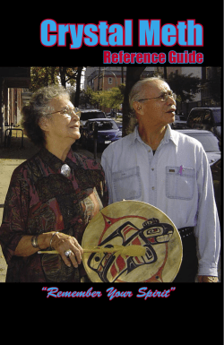 Crystal Meth Reference Guide - Native Courtworkers and